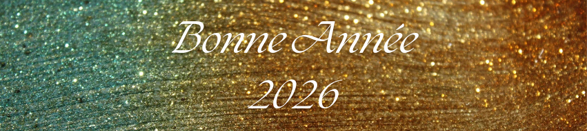 ASSM Gymnastique Artistique